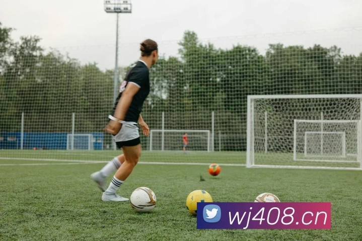 飞博体育发展历程